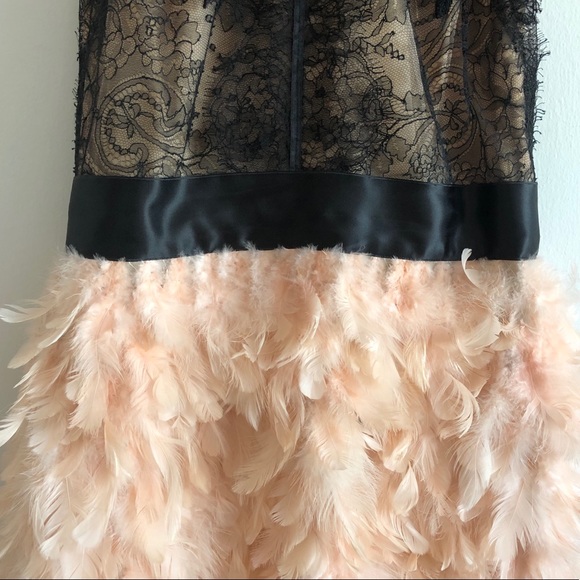 Marchesa Spring ‘16 Lace & Blush Feather Dress - Picture 7 of 16